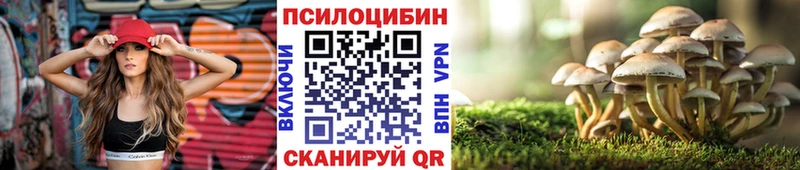 Псилоцибиновые грибы MAGIC MUSHROOMS  blacksprut ONION  Майкоп  где купить наркотик 